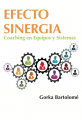 Efecto-Sinergia-Coaching-en-Equipos-y-Sistemas